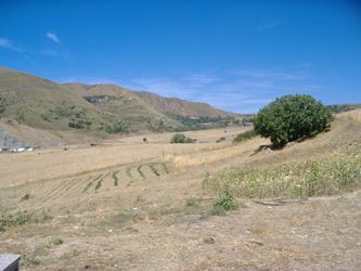 panorama estivo